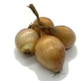 Zwiebeln weiß
