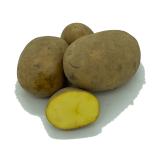 Kartoffel Belana (vorw. festkochend)