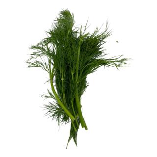Dill
