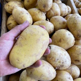 XXL-Kartoffeln zum Backen, Grillen und Füllen