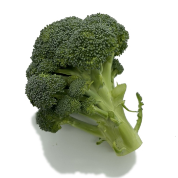 Broccoli