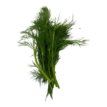 Dill