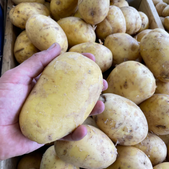 XXL-Kartoffeln zum Backen, Grillen und Füllen
